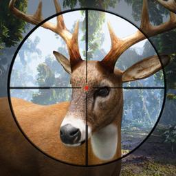 Stag Hunter 